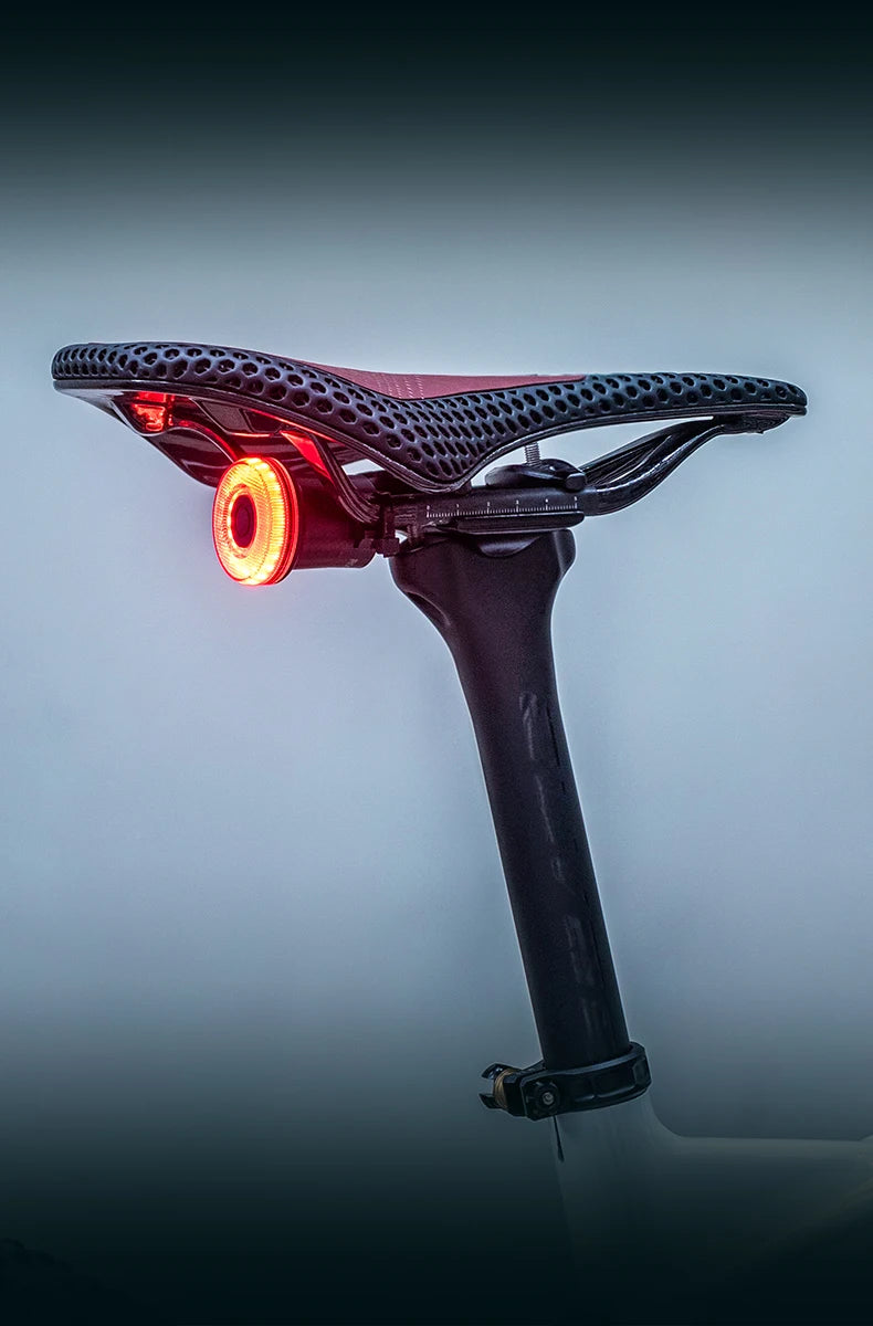 ROCKBROS Smart Bike Tail Light Bicycle Rear Lights IPX6 Waterproof Bike Lights for Night Riding with Type C Rechargeable