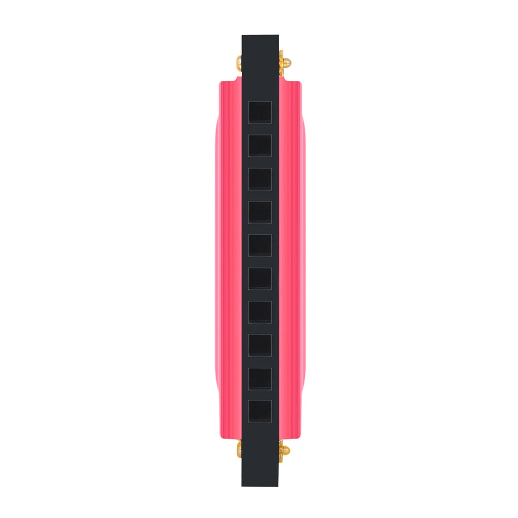 IRIN 10 Holes Harmonica New Style Colorful C Key Harmonica Woodwind Instrument Harmonica for Beginners