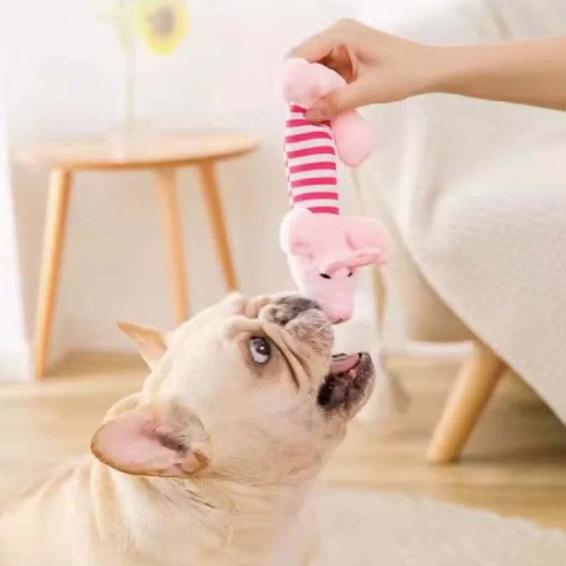 Teeth Grinding Catnip Toys Funny Interactive Plush Cat Toy Pet Kitten Chewing Vocal Toy Claws Thumb Bite Cat Mint For Cats