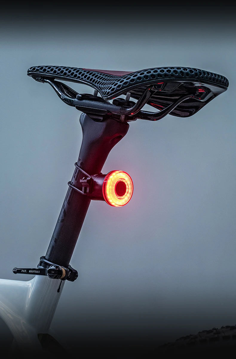 ROCKBROS Smart Bike Tail Light Bicycle Rear Lights IPX6 Waterproof Bike Lights for Night Riding with Type C Rechargeable
