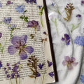 🌿 Set de 40 Stickers de Plantas y Flores Naturales 🌸 Adhesivos Transparentes para Scrapbook, Manualidades, Decoración de Vasos y Proyectos DIY ✂️