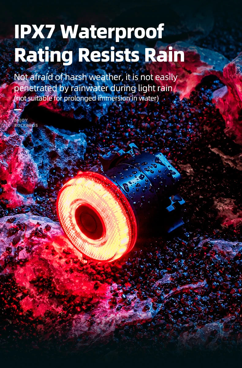 ROCKBROS Smart Bike Tail Light Bicycle Rear Lights IPX6 Waterproof Bike Lights for Night Riding with Type C Rechargeable