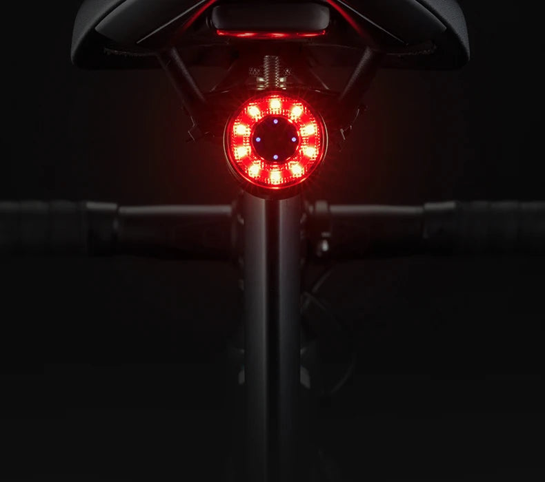 ROCKBROS Bicycle Tail Light Smart Brake Sensing Rear Bike Light Aluminum Waterproof Type-C MTB Road Warning Cycling Taillight
