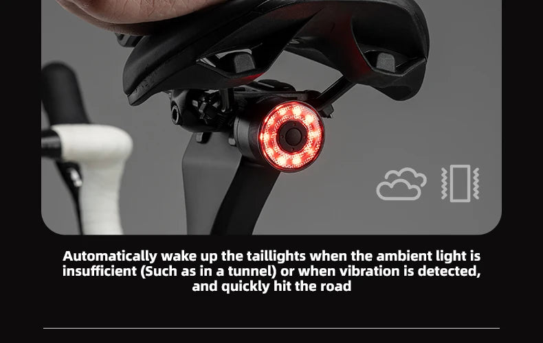 ROCKBROS Bicycle Tail Light Smart Brake Sensing Rear Bike Light Aluminum Waterproof Type-C MTB Road Warning Cycling Taillight