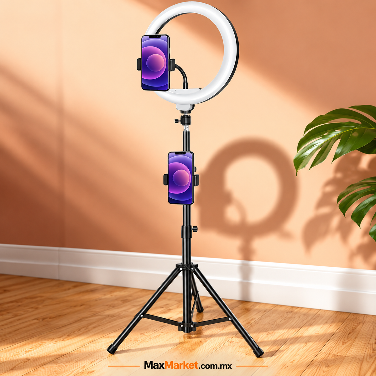 💡✨ LED Ring Light with Tripod and Phone Holder 📱
